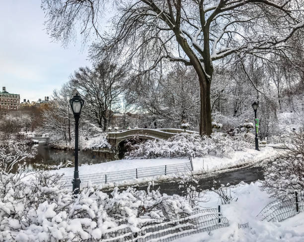 istock Bow bridge,Central Park, New York Cit 1059817496