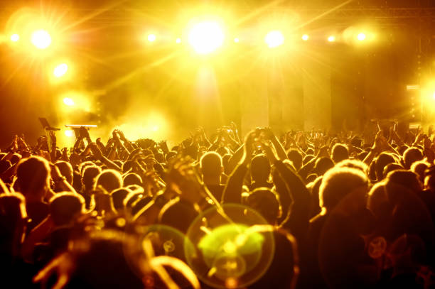 istock Crowd At Music Concert 1059833062