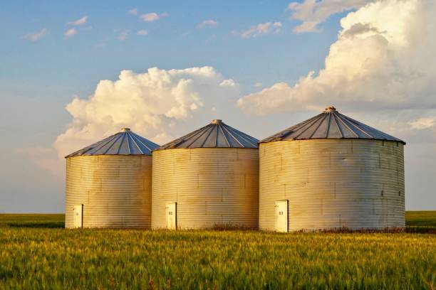 silos di stoccaggio del grano - silo foto e immagini stock