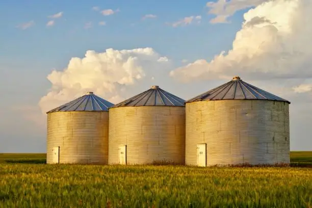 three metallic structures on farm for grain storage