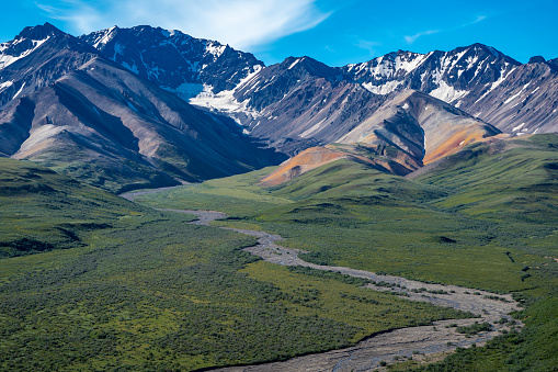 Beautiful colorful view of Polychrome Pass and a braided winding river going through the Alaska Range mountains in Denali National Park on a sunny day