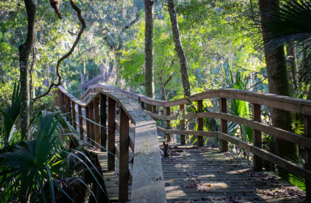 istock Damaged bridge in Florida 1059845418