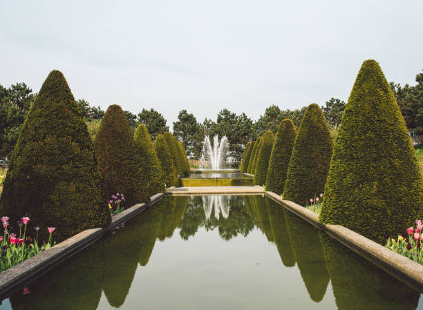 istock Artificial Pond Amidst Trees At Public Park 1059845472