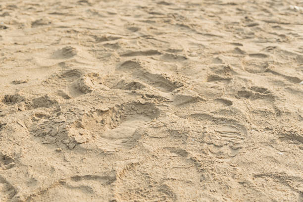 istock High Angle View Of Footprints On Sand At Beach 1059845968