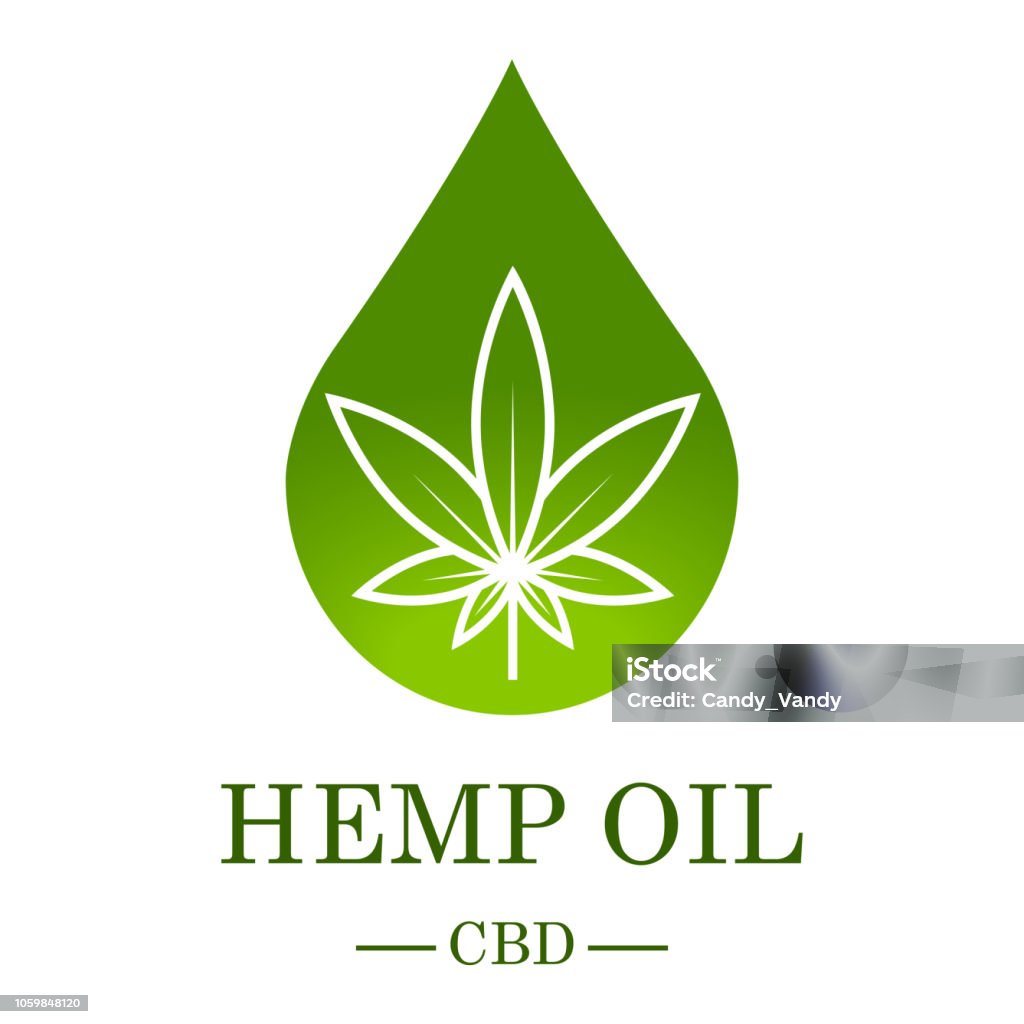 Marijuana leaf. Medical cannabis. Hemp oil. Cannabis extract. Icon product label and logo graphic template. Isolated vector illustration. Marijuana leaf. Medical cannabis. Hemp oil. Cannabis extract. Icon product label and logo graphic template. Isolated vector illustration Cannabis Plant stock vector