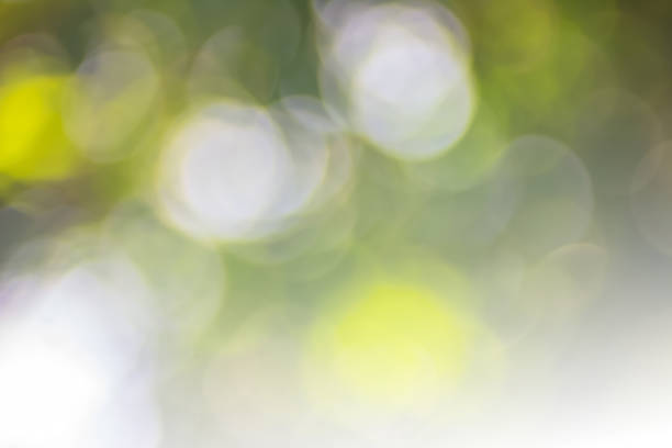 istock Abstract Bokeh with soft blurred background nature blurry light party in vintage style warm pastel shimmering and faded cool colorful defocused circular. Shiny copy space for holiday card. 1059852306
