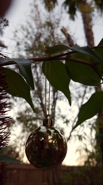 istock Christmas in the tropics 1059860932