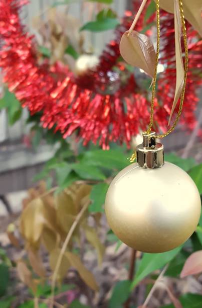 istock Christmas in the tropics 1059861170