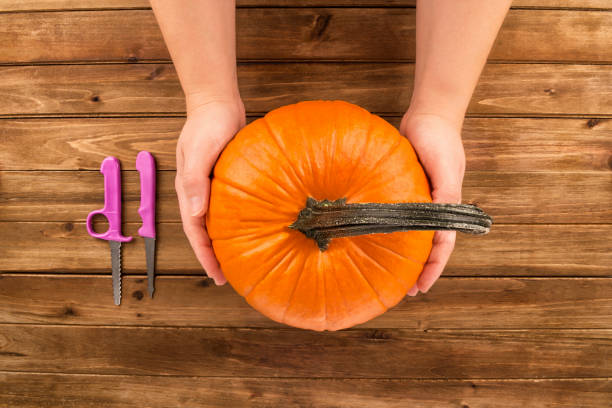 Pumpkin in female hands on wooden table.
