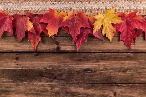 istock Fall and autumn maple leaves decoration on a wooden table, top view. Copy space. 1059877810