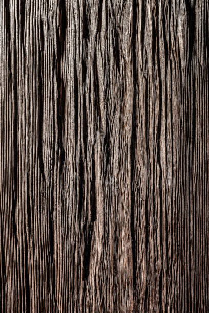 The texture of the old board with a winding pattern and a brown tint