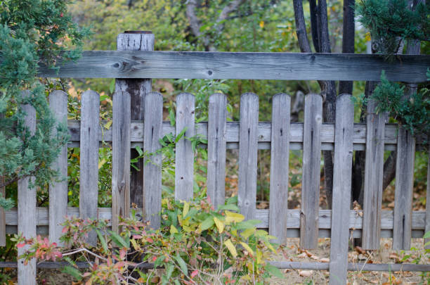 istock Wooden fence 1059882576