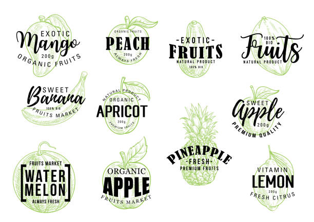 Exotic fruits market lettering sketch Exotic tropical fruits sketch lettering. Vector calligraphy of mango, peach or banana and apricot, organic apple with pineapple, watermelon and citrus lemon fruit mango jam stock illustrations