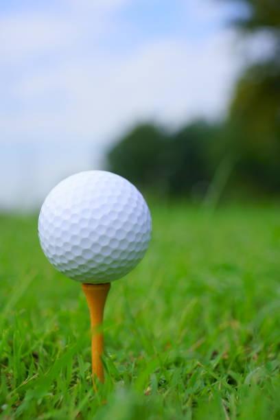 istock Golf ball and tee on golf green course background, copy space 1059900598