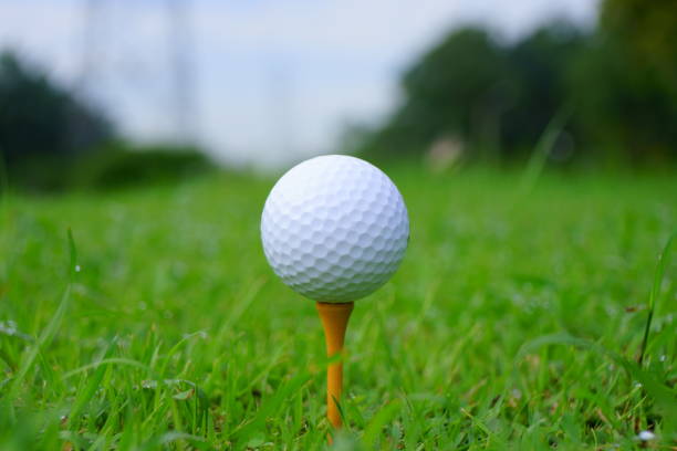 istock Golf ball and tee on golf green course background, copy space 1059900600