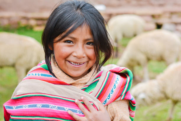 Smiling native american little farmer. Happy native american girl wearing ethnic aymara cloth. Sheep on the background. bolivia photos stock pictures, royalty-free photos & images