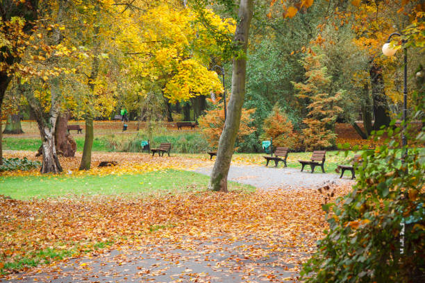istock Autumnal park in october, Footpath with bench for relaxation 1059905640