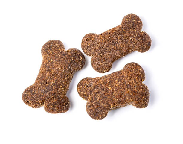 istock Pet food isolated on a white background. 1059909494