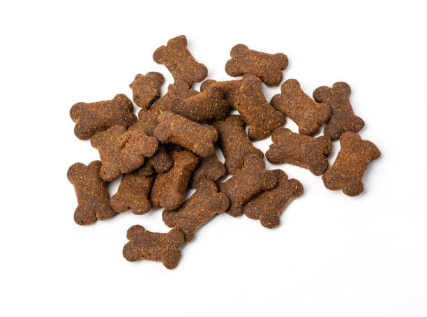 istock Dry  pet food isolated 1059909496