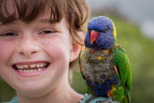 small colorful parrot on girls shoulder