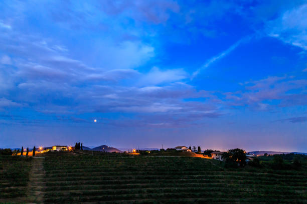 istock Evening in the vineyard of Rosazzo during a moon eclipse 1059922790