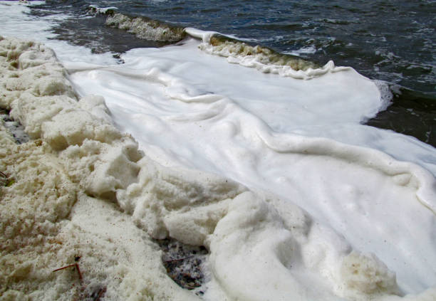 istock Dirty textured foam surface made by waves of water. 1059942252