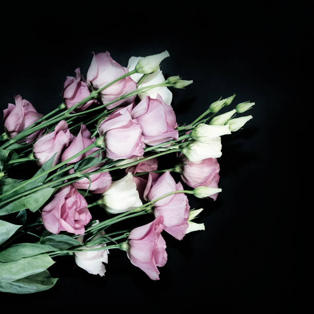 istock Bouquet pink and white flowers on a black background 1059951182