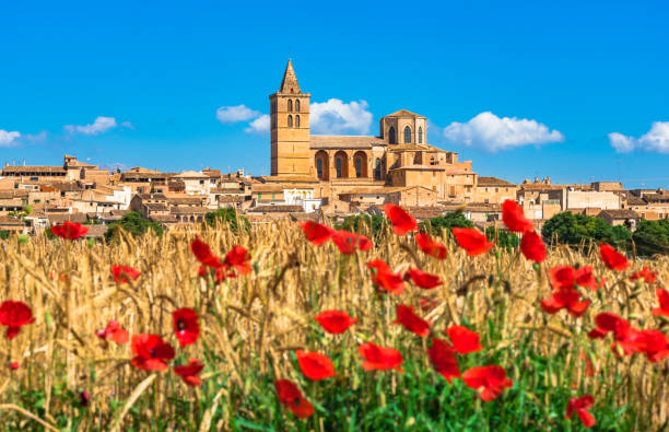 美しいポピーの花のフィールドで、シネウの古い地中海の村の美しい景色、マヨルカ島スペイン - poppy field red flower ストックフォトと画像