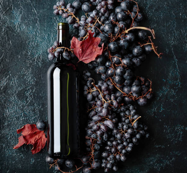 istock Bottle of red wine and grapes. 1059960988