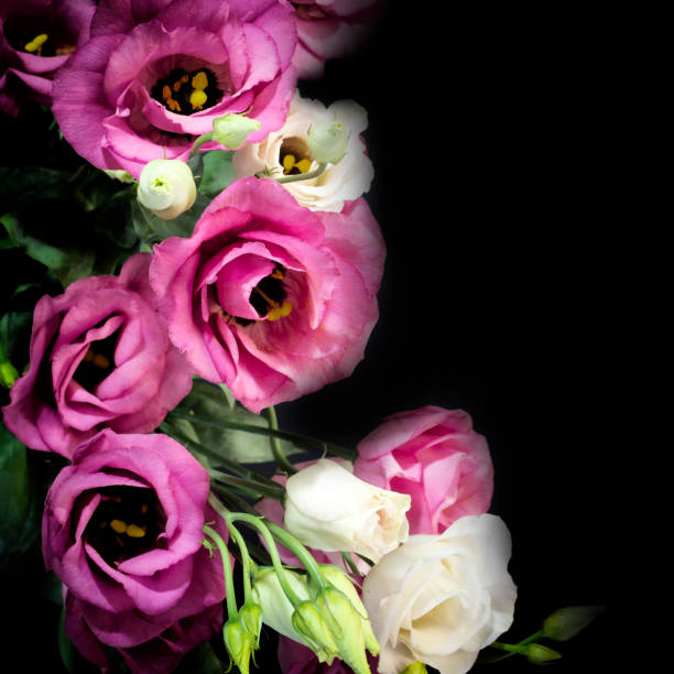 istock Bouquet pink and white flowers on a black background 1059967872