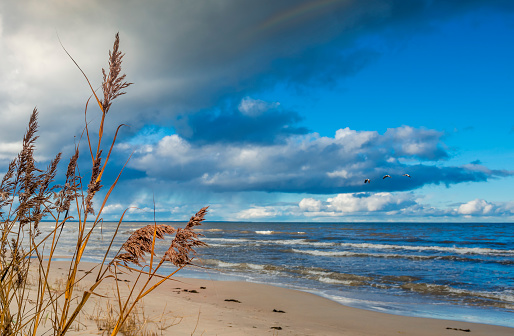 Autumn on sandy beach of the Baltic Sea, Jurmala, Latvia, Europe