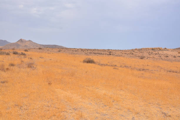 istock Landscape in South Spain 1059977028