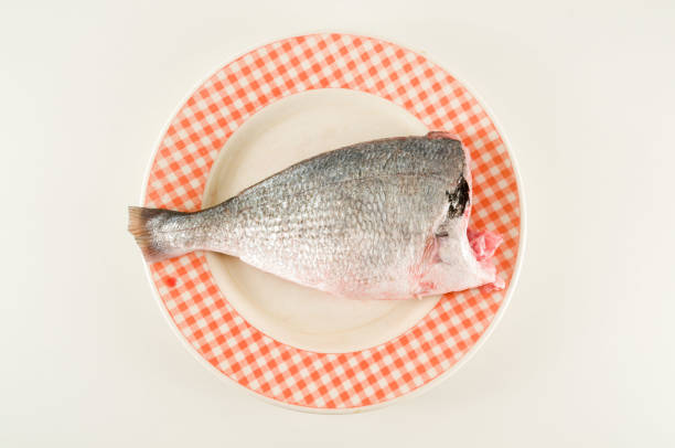 Fresh dorada fish decorated sea bream ready to be cooked