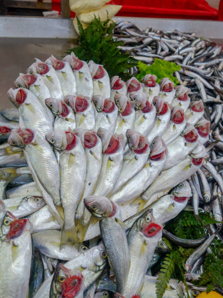 istock Fresh fish at a market in Istanbul 1059987532
