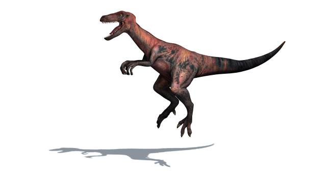 istock Dinosaur - Velociraptor - isolated on white background 1059993588