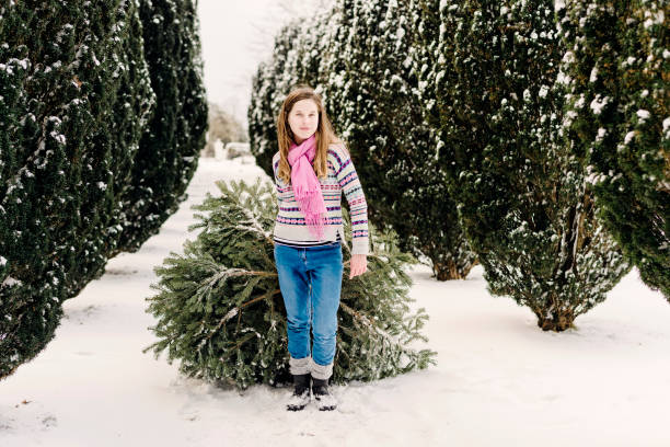 istock Teenage girl pulling her Christmas tree home. 1059998974
