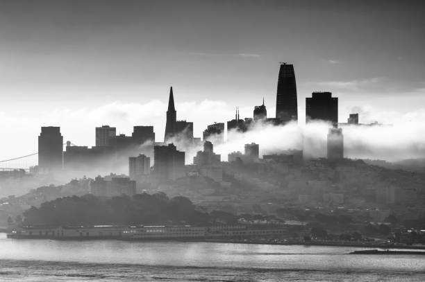 monochrome skyline of sanfrancisco with clouds. California. USA Downtown skyline of San Francisco in the morning with low clouds. California. United States transamerica pyramid san francisco stock pictures, royalty-free photos & images
