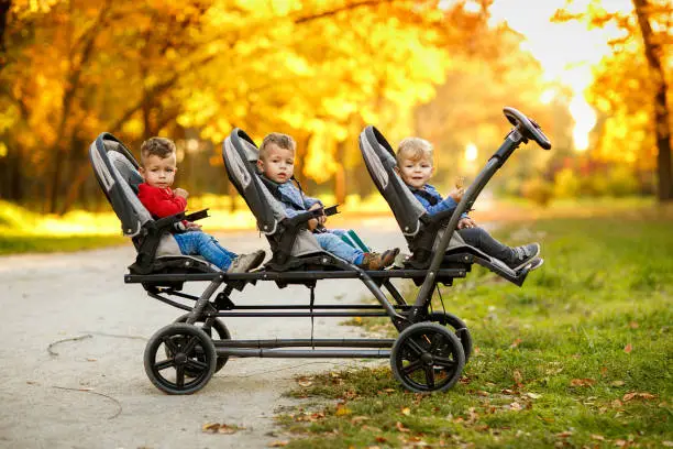 The happy triplets sit in a  baby stroller and eat cookies at autumn par