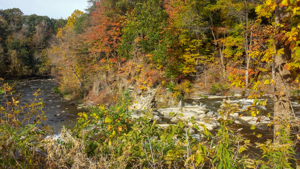 herbstlaub am tonawanda creek am indischen falls auch bekannt als big falls - tonawanda creek stock-fotos und bilder