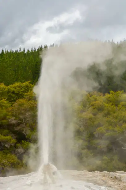 Photo of Erupting Lady Gnox Geyser in Wai-O-Tapu Thermal Wonderland park