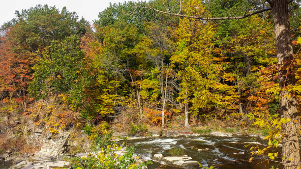 インドの滝として知られている大きな滝でトナワンダ川の紅葉 - tonawanda creek ストックフォトと画像