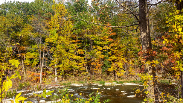 herbstlaub am tonawanda creek am indischen falls auch bekannt als big falls - tonawanda creek stock-fotos und bilder