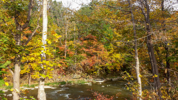 インドの滝として知られている大きな滝でトナワンダ川の紅葉 - tonawanda creek ストックフォトと画像