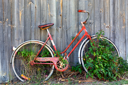 Forgotten Old Red Bicycle