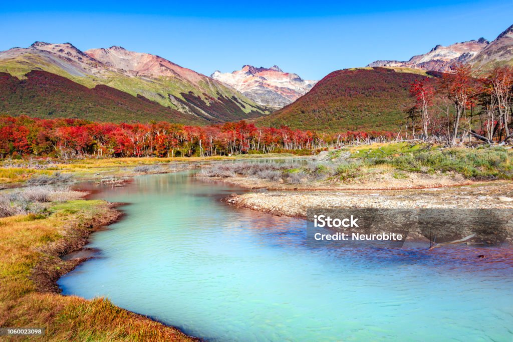 Beautiful landscape of lenga forest, mountains at Tierra del Fuego National Park, Patagonia Beautiful landscape of lenga forest, mountains at Tierra del Fuego National Park, Patagonia, autumn Tierra del Fuego Province - Argentina Stock Photo