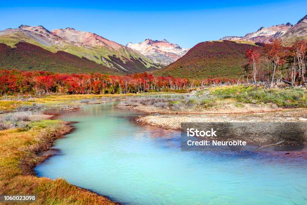Beautiful Landscape Of Lenga Forest Mountains At Tierra Del Fuego National Park Patagonia Stock Photo - Download Image Now