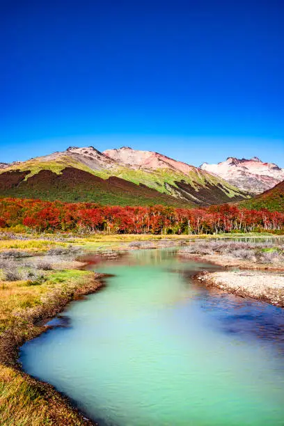 Beautiful landscape of lenga forest, mountains at Tierra del Fuego National Park, Patagonia, autumn