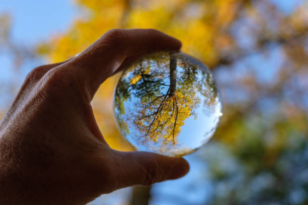 istock lensball in autumn reflecting nature 1060038116
