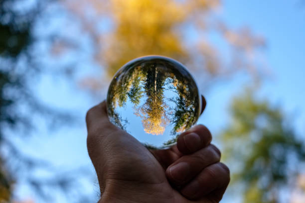 istock lensball in autumn reflecting nature 1060038246