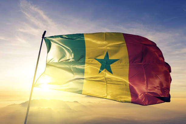 Senegal Senegalese flag textile cloth fabric waving on the top sunrise mist fog Senegal Senegalese flag on flagpole textile cloth fabric waving on the top sunrise mist fog senegal flag stock pictures, royalty-free photos & images